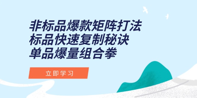 非标品爆款矩阵打法，标品快速复制秘诀，单品爆量组合拳-创新Ovo