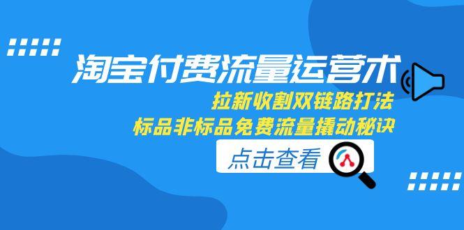 淘宝付费流量运营术，拉新收割双链路打法，标品非标品免费流量撬动秘诀-创新Ovo