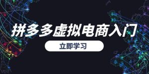 拼多多虚拟电商入门，精准选品方法论，无货源模式起盘技巧-创新Ovo