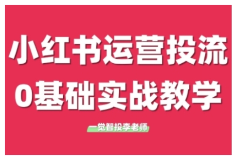 小红书运营投流，小红书广告投放从0到1的实战课，学完即可开始投放(更新)-创新Ovo