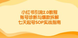 小红书引流2.0教程，账号诊断与爆款拆解，七天起号SOP实战指南-创新Ovo