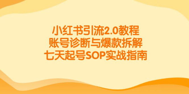 小红书引流2.0教程，账号诊断与爆款拆解，七天起号SOP实战指南-创新Ovo