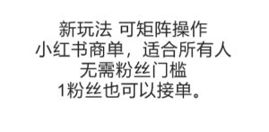 可矩阵操作,小红书商单新玩法,适合所有人,无需粉丝门槛,1粉丝也可以接单-创新Ovo