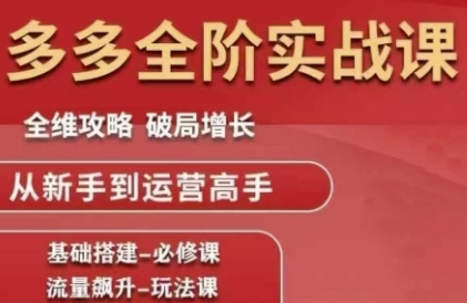 拼多多全阶实战课程，全维攻略，破局增长，从新手到运营高手-创新Ovo