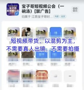 宝子哥头部团队短视频带货,以混剪为主,不需要真人出镜,不需要拍摄【更新】-创新Ovo