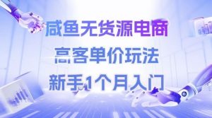 咸鱼无货源电商,高客单价玩法,新手1个月入门-创新Ovo
