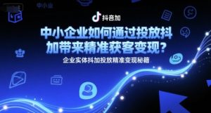 中小企业如何通过投放抖加带来精准获客变现？企业实体抖加投放精准变现秘籍-创新Ovo