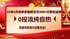 25年6月拼多多最新日引300+付费创业粉，0投流纯自热 卖课月变现六位数方法-创新Ovo