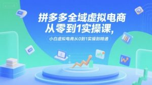 拼多多全域虚拟电商从零到1实操课，小白虚拟电商从0到1实操到精通-创新Ovo