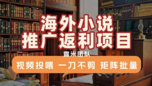 海外小说推广返利项目,视频投喂, 一刀不剪,矩阵批量-创新Ovo