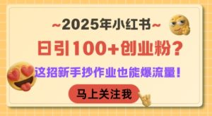 2025年小红书日引100+创业粉?这招新手抄作业也能爆流量!-创新Ovo