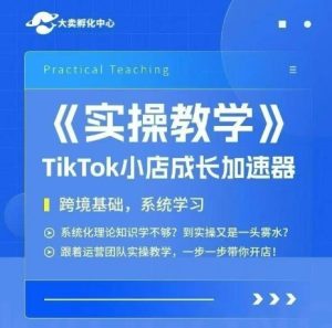 大卖家孵化中心TikTok实操课,TikTok小店成长加速器,跨境基础系统学习,一步一步带你开店-创新Ovo
