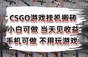 CSGO游戏挂G搬砖，小白纯手机即可操作，不用电脑打游戏，日入3张+，副业网创项目【揭秘】-创新Ovo