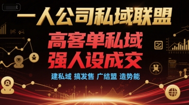 一人公司私域联盟，高客单私域，强人设成交，建私域 搞发售 广结盟 造势能-创新Ovo