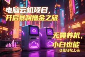 电脑云机项目 暴力撸金玩法，不需要养机 配置没有要求 单机100个窗口一...-创新Ovo