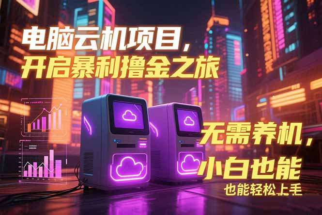 电脑云机项目 暴力撸金玩法，不需要养机 配置没有要求 单机100个窗口一…-创新Ovo