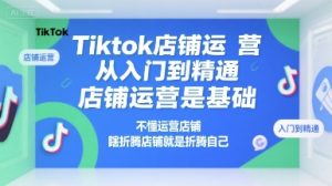 Tiktok店铺运营从入门到精通,店铺运营是基础,不懂运营店铺,瞎折腾店铺就是折腾自己-创新Ovo