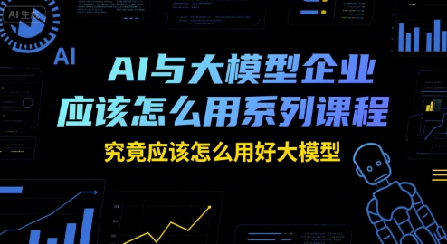 AI与大模型企业应该怎么用系列课程，究竟应该怎么用好大模型-创新Ovo