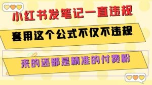小红书发笔记一直违规，套用这个公式不仅不违规，来的还都是精准的付费粉-创新Ovo