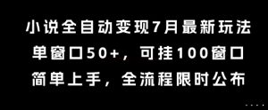 小说全自动变现7月玩法，单窗口50+，可挂100窗口，简单上手，全流程限时公布【揭秘】-创新Ovo