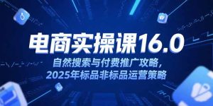 淘宝电商运营课16.0,自然搜索与付费推广攻略,2025年标品非标品运营策略-创新Ovo