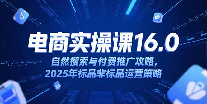 淘宝电商运营课16.0，自然搜索与付费推广攻略，2025年标品非标品运营策略-创新Ovo