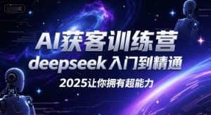 AI获客训练营，deepseek入门到精通，2025让你拥有超能力-创新Ovo