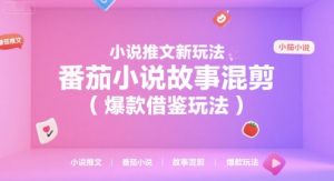 小说推文新玩法,番茄小说故事混剪(爆款借鉴玩法)-创新Ovo