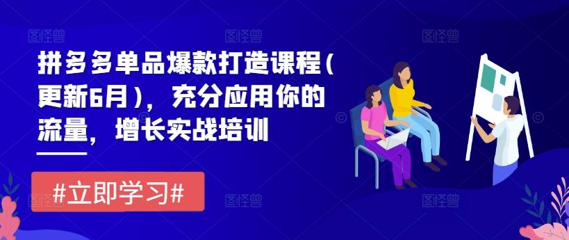 拼多多单品爆款打造课程(更新6月)，充分应用你的流量，增长实战培训-创新Ovo