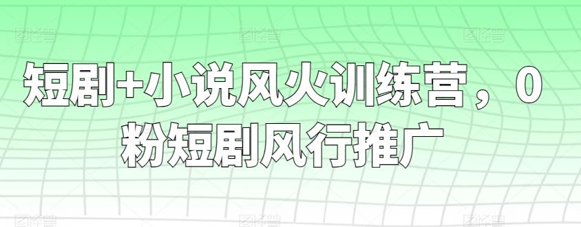 短剧+小说风火训练营，0粉短剧风行推广-创新Ovo