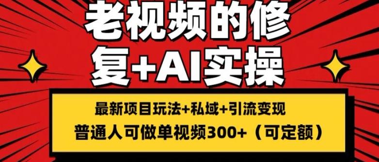 修复老视频的玩法，搬砖+引流的变现(可持久)，单条收益300+【揭秘】-创新Ovo