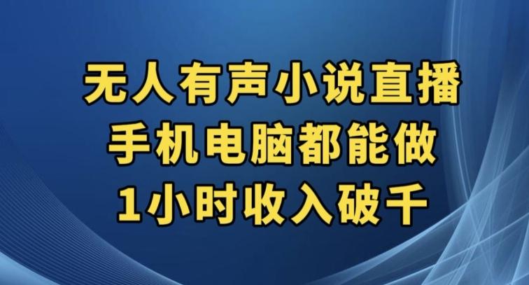 抖音无人有声小说直播，手机电脑都能做，1小时收入破千【揭秘】-创新Ovo