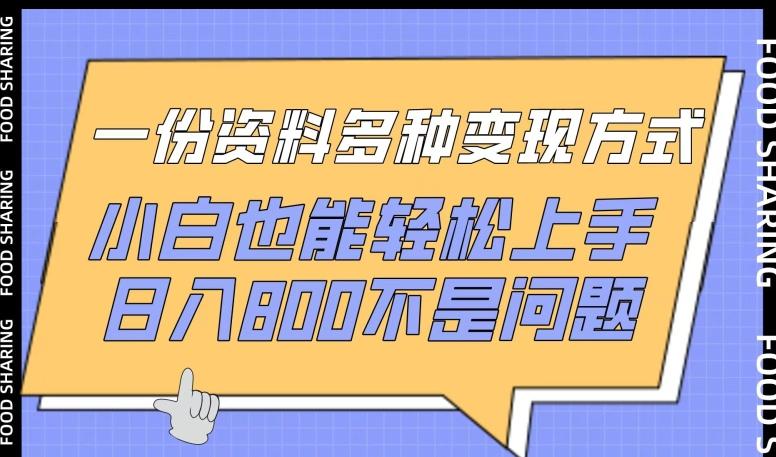 一份资料多种变现方式，小白也能轻松上手，日入800不是问题【揭秘】-创新Ovo