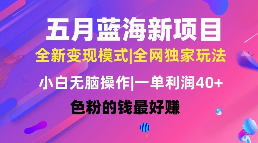 五月蓝海项目全新玩法，小白无脑操作，一天几分钟，矩阵操作，月入4万+-创新Ovo