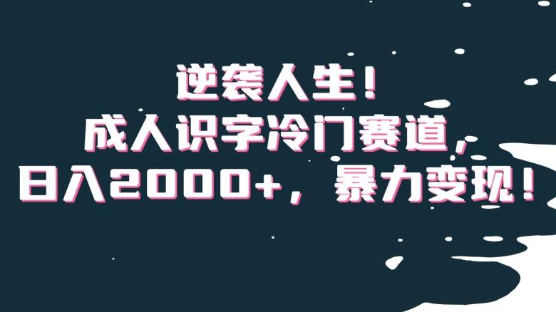 逆袭人生！成人识字冷门赛道，日入2000+，暴力变现！【揭秘】-创新Ovo