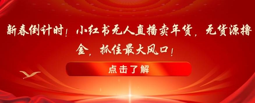 新春倒计时！小红书无人直播卖年货，无货源撸金，抓住最大风口【揭秘】-创新Ovo