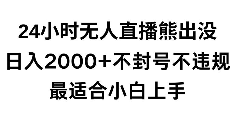 快手24小时无人直播熊出没，不封直播间，不违规，日入2000+，最适合小白上手，保姆式教学【揭秘】-创新Ovo