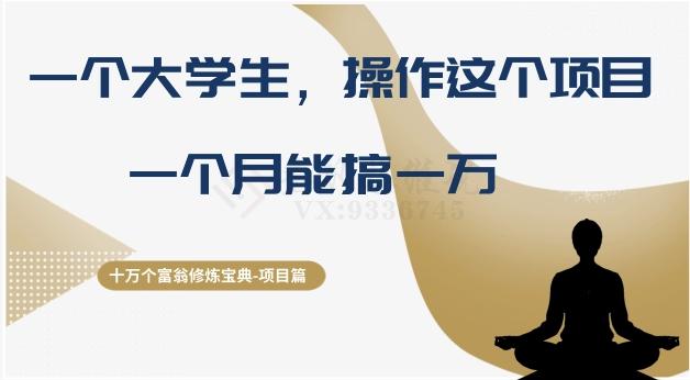 十万个富翁修炼宝典之4.一个大学生操作这个项目，一个月能搞一万-创新Ovo