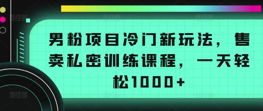 男粉项目冷门新玩法，售卖私密训练课程，一天轻松1000+【揭秘】-创新Ovo