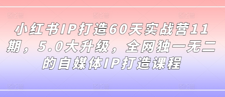小红书IP打造60天实战营11期，5.0大升级，全网独一无二的自媒体IP打造课程-创新Ovo