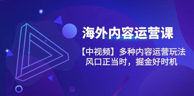 海外内容 运营课【中视频】多种内容运营玩法 风口正当时 掘金好时机-101节-创新Ovo