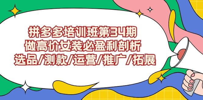 (9333期)拼多多培训班第34期：做高价女装必盈利剖析  选品/测款/运营/推广/拓展-创新Ovo