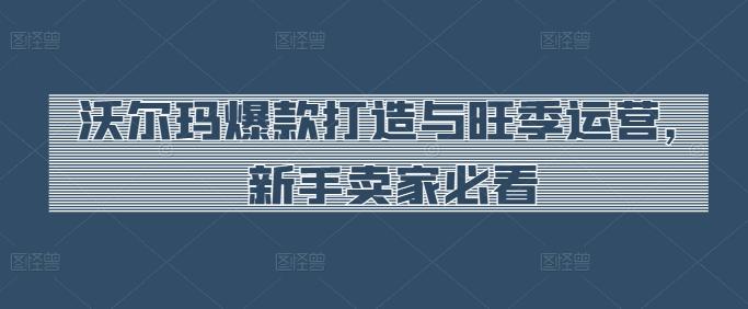 沃尔玛爆款打造与旺季运营，新手卖家必看-创新Ovo