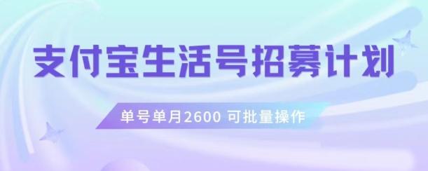 支付宝生活号作者招募计划，单号单月2600，可批量去做，工作室一人一个月轻松1w+【揭秘】-创新Ovo