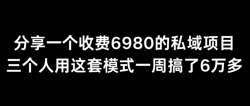 分享一个外面卖6980的私域项目三个人用这套模式一周搞了6万多【揭秘】-创新Ovo