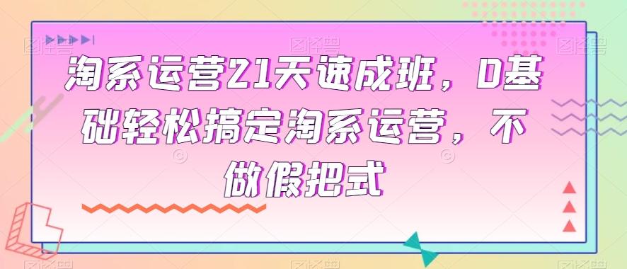 淘系运营21天速成班，0基础轻松搞定淘系运营，不做假把式-创新Ovo