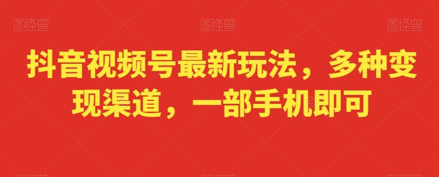 抖音视频号最新玩法，多种变现渠道，一部手机即可-创新Ovo