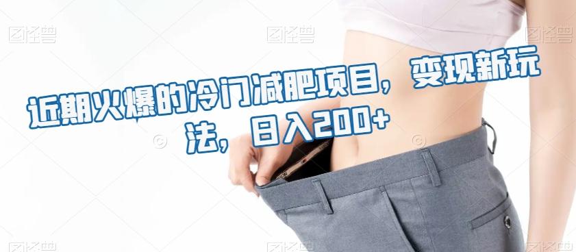近期火爆的冷门减肥项目，变现新玩法，日入200+-创新Ovo