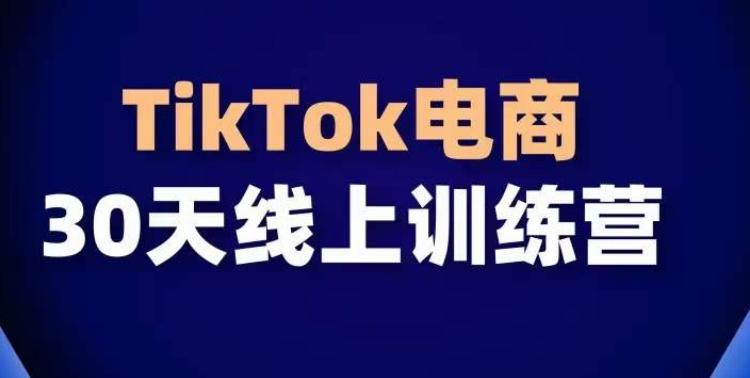TikTok电商带货30天线上课，不可错过的全球流量洼地！-创新Ovo