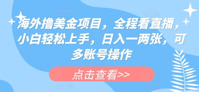 海外撸美金项目，全程看直播，小白轻松上手，日入一两张，可多账号操作【揭秘】-创新Ovo